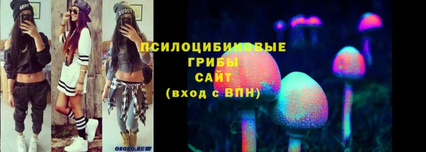 стаф Алексин