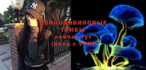сатива Алексеевка