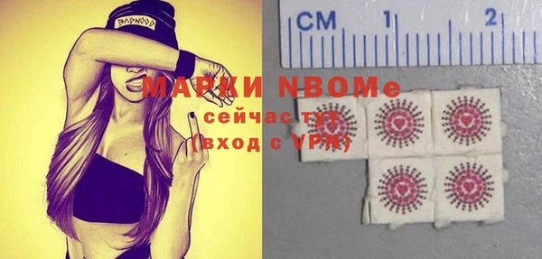 стаф Алексин
